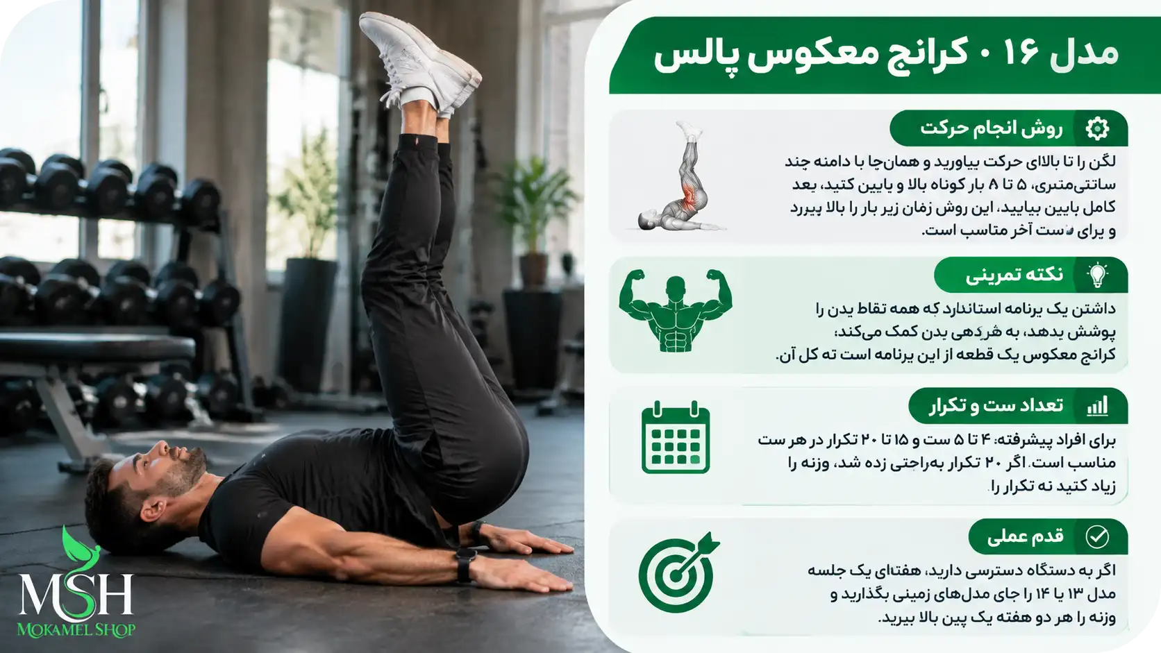 مدل ۱۶ کرانچ معکوس پالس