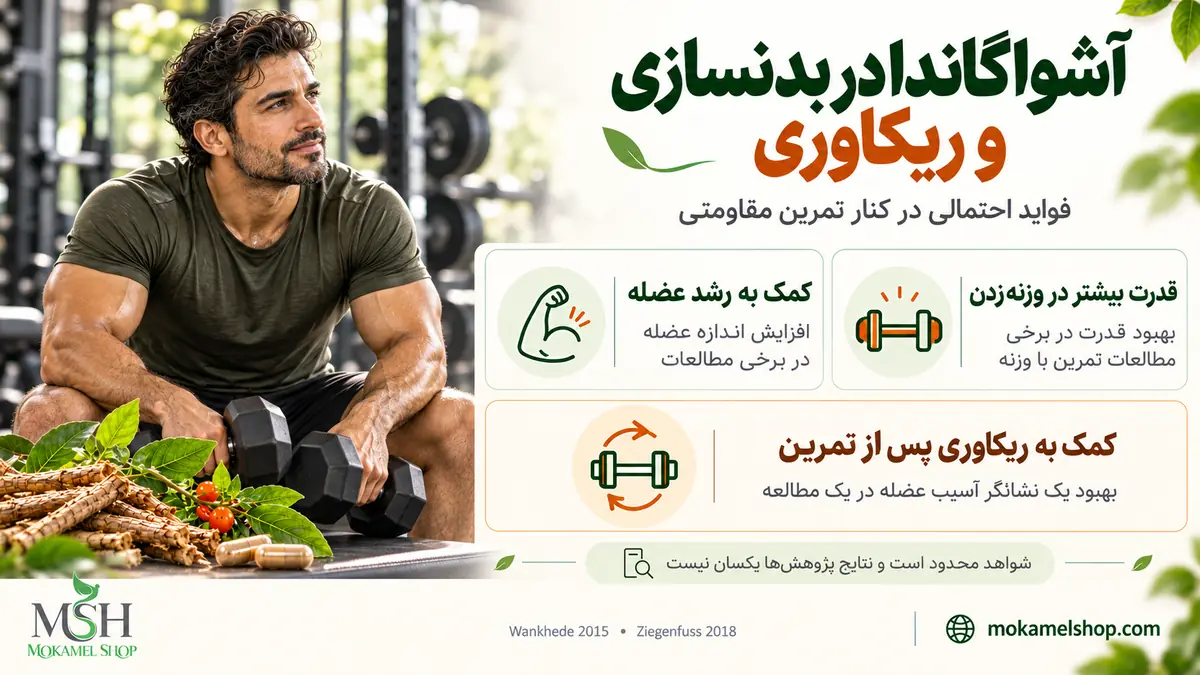 آشواگاندا در بدنسازی و ریکاوری؛ فواید احتمالی برای افزایش قدرت، رشد عضله و بهبود برخی شاخص&zwnj;های ریکاوری پس از تمرین