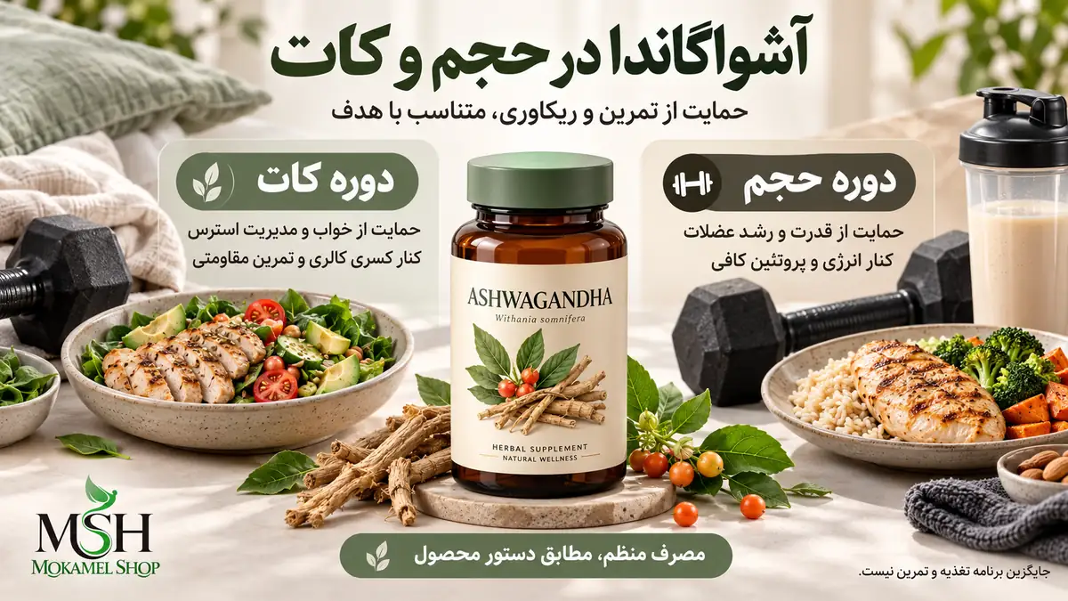 کاربرد آشواگاندا در دوره حجم و کات؛ حمایت از قدرت عضلانی، ریکاوری، خواب و مدیریت استرس