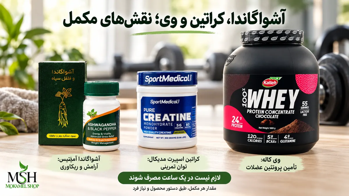مصرف آشواگاندا آمیتیس همراه کراتین اسپرت مدیکال و پروتئین وی کاله در برنامه بدنسازی