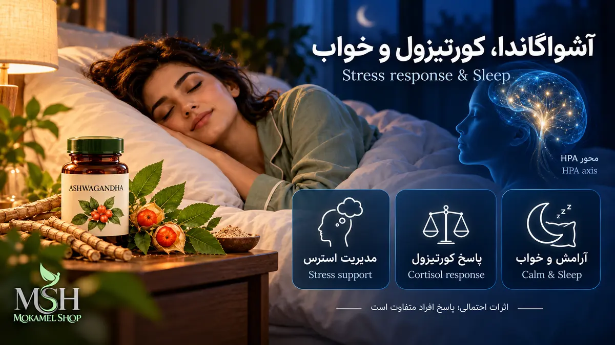 آشواگاندا کنار فردی در حال خواب؛ نمایش مفهومی محور HPA و ارتباط پاسخ کورتیزول با استرس و خواب
