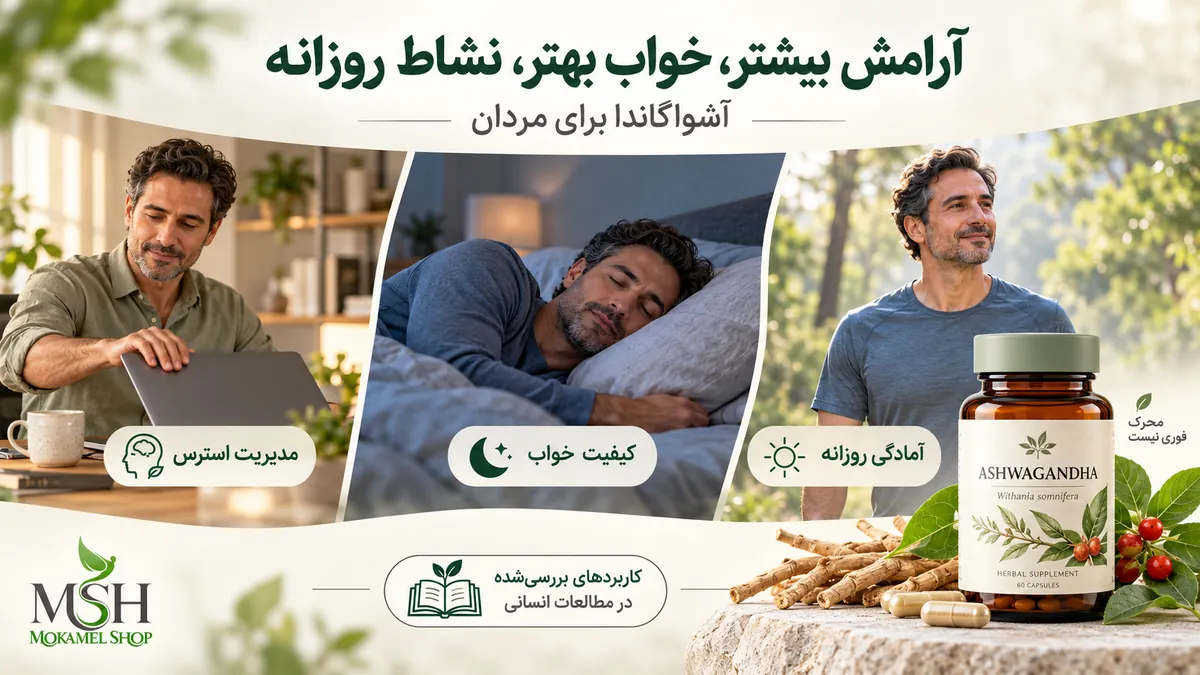 فواید آشواگاندا برای مردان؛ کمک به مدیریت استرس، بهبود کیفیت خواب و حفظ نشاط روزانه
