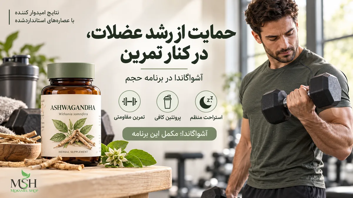 تأثیر آشواگاندا بر عضله&zwnj;سازی و افزایش حجم عضلات در کنار تمرین مقاومتی، پروتئین کافی و استراحت