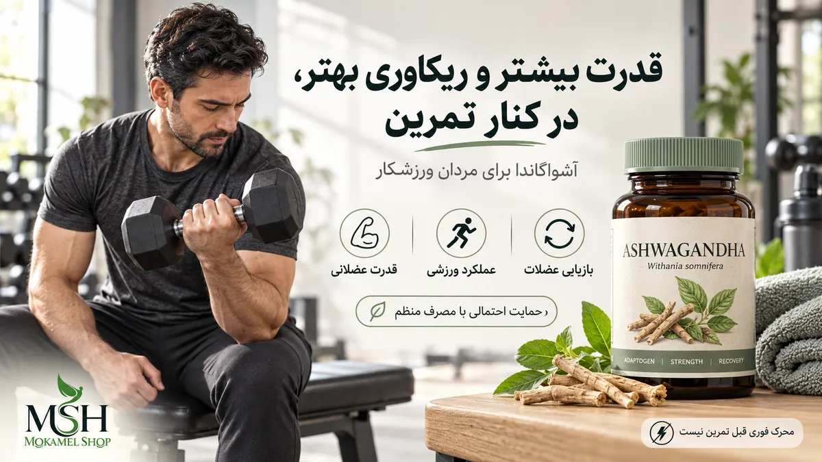 خواص آشواگاندا برای قدرت عضلانی و عملکرد ورزشی مردان؛ حمایت از ریکاوری در کنار تمرین مقاومتی