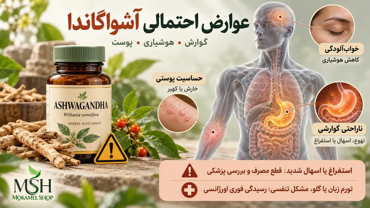 عوارض قرص آشواگاندا؛ نمایش علمی ناراحتی گوارشی، خوابآلودگی و حساسیت پوستی روی بدن