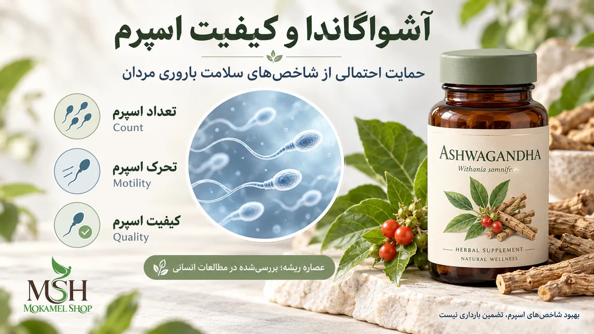خواص آشواگاندا برای اسپرم و باروری مردان؛ حمایت احتمالی از تعداد، تحرک و کیفیت اسپرم