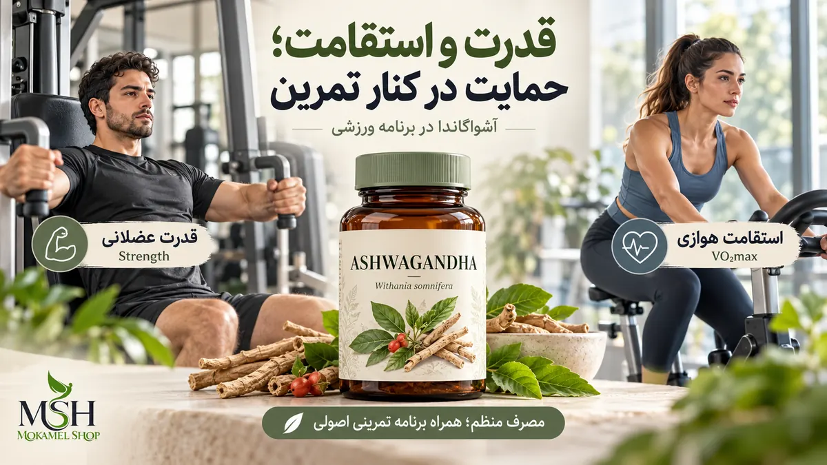 خواص آشواگاندا برای افزایش قدرت عضلانی و استقامت هوازی در کنار تمرینات ورزشی