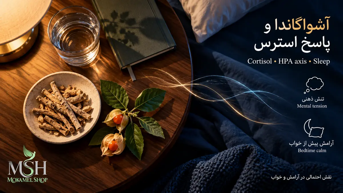 نمای بالا از ریشه و برگ آشواگاندا کنار تخت خواب؛ تصویر مفهومی ارتباط استرس، کورتیزول و آرامش پیش از خواب