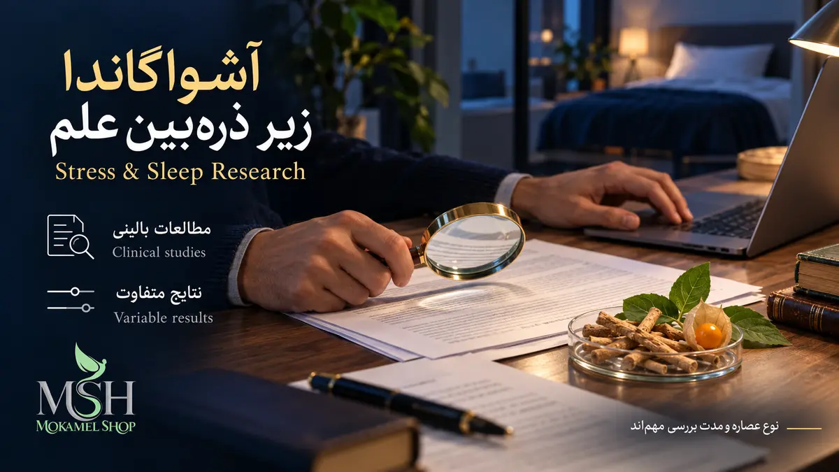 بررسی مقالات علمی آشواگاندا درباره استرس و خواب؛ ذره&zwnj;بین روی پژوهش&zwnj;ها کنار ریشه گیاه