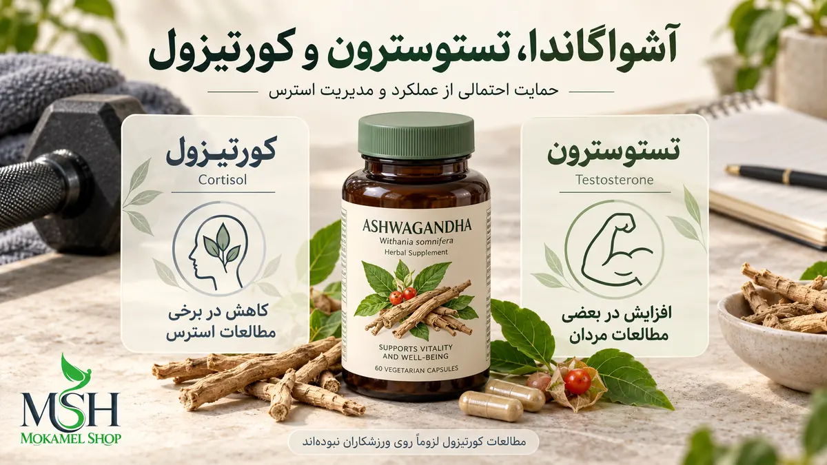 تأثیر آشواگاندا بر تستوسترون و کورتیزول؛ حمایت احتمالی از عملکرد ورزشی و مدیریت استرس