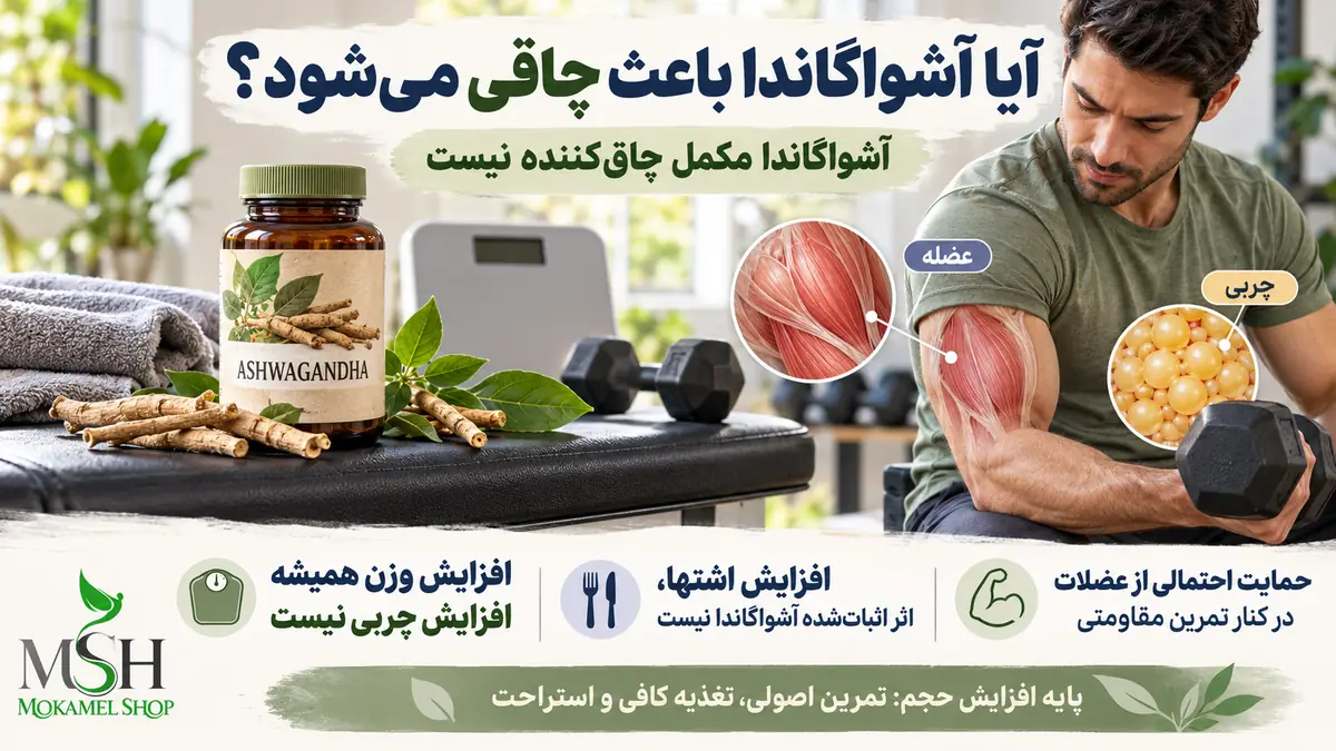 تأثیر آشواگاندا بر افزایش وزن و اشتها و تفاوت افزایش توده عضلانی با چربی بدن