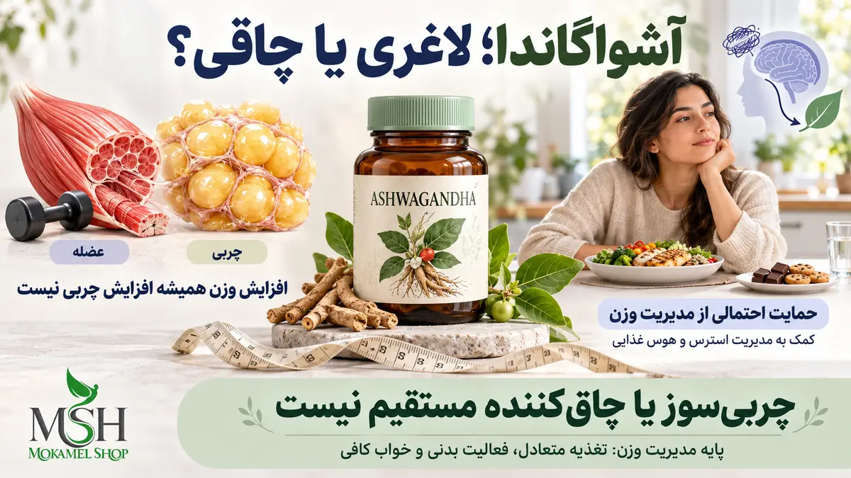 تأثیر آشواگاندا بر لاغری، چاقی و کنترل هوس غذایی و تفاوت افزایش عضله با چربی بدن