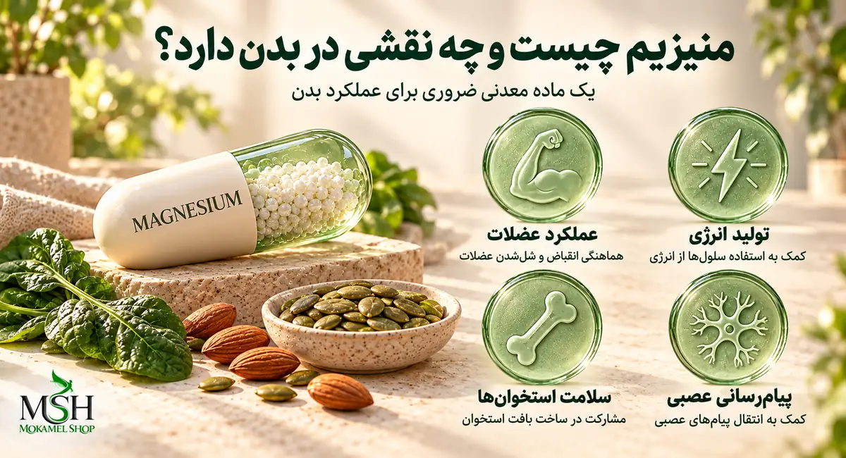 نقش منیزیم در تولید انرژی، عملکرد عضلات، انتقال پیامهای عصبی و سلامت استخوانها