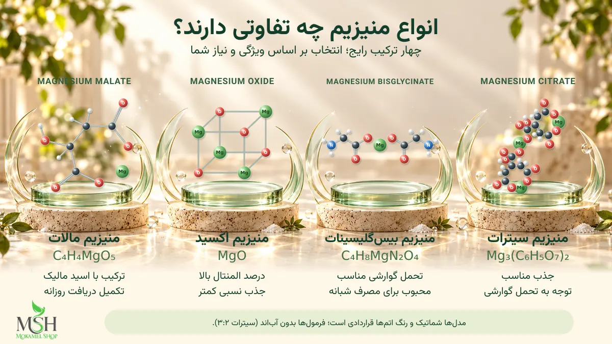 مقایسه منیزیم سیترات، گلیسینات، اکسید و مالات از نظر ویژگیها و نکات انتخاب مکمل