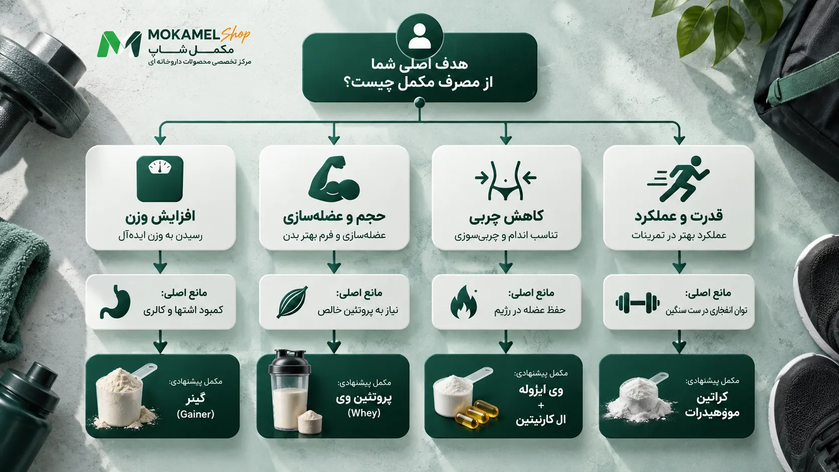 اینفوگرافیک فلوچارت ۵ دقیقه&zwnj;ای راهنمای انتخاب مکمل بدنسازی بر اساس هدف و مانع اصلی