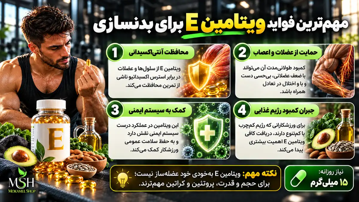 مهمترین فواید ویتامین ای برای بدنسازی؛ محافظت از عضلات، اعصاب و سیستم ایمنی