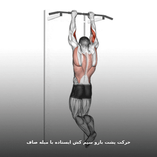 حرکت پشت بازو سیم کش ایستاده با میله صاف gif