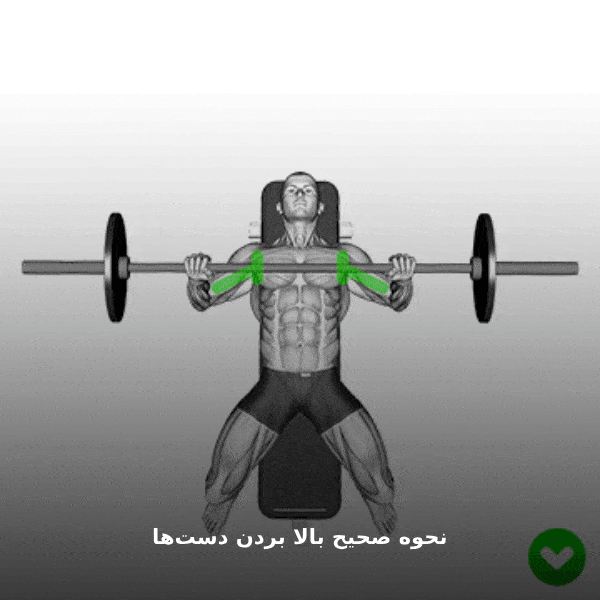 اشتباهات رایج در انجام پرس سینه هالتر