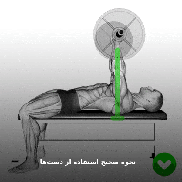 نحوه صحیح استفاده از دست ها در پرس سینه هالتر