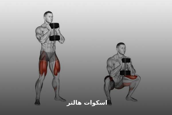 اسکوات هالتر