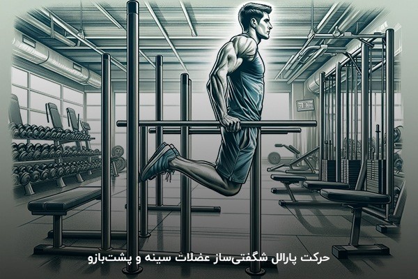 پارالل؛ شگفتی&zwnj;ساز حجم عضلات سینه