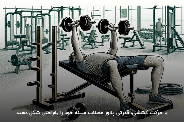 حرکت کششی-قدرتی پلاور؛ دست&zwnj;یابی به سینه&zwnj;های عضلانی