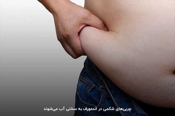 چربی&zwnj;های شکمی؛ معضلی بزرگ برای اندومورف&zwnj;ها