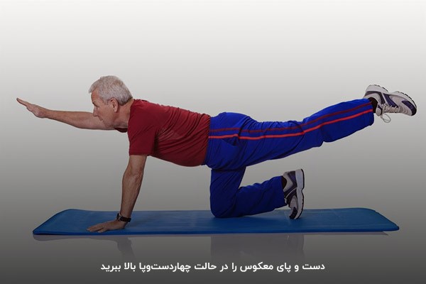 حرکت بالا بردن دست و پا در حالت چهاردستوپا برای دیسک کمر