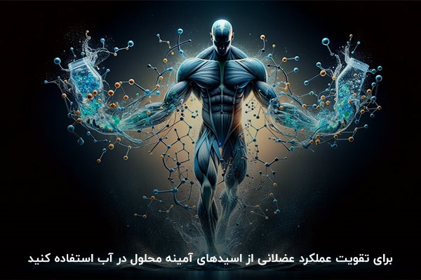 اسیدهای آمینه؛&zwnj; بهترین عامل تقویت عملکرد عضلانی