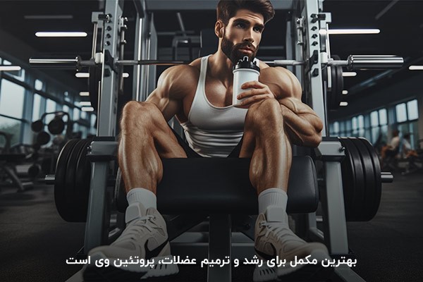 پروتئین وی؛ بهترین مکمل به منظور رشد و ترمیم عضلات