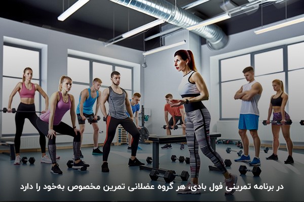 برنامه تمرینی فول بادی؛ مناسب برای افراد مبتدی و حرفه&zwnj;ای