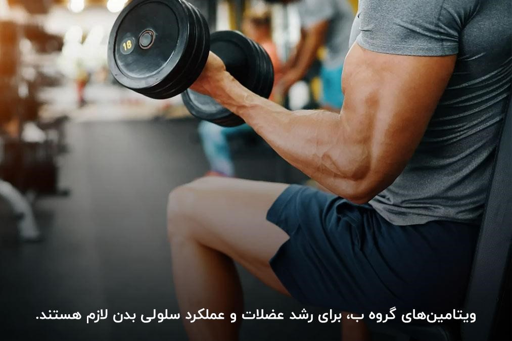 ویتامین&zwnj;های گروه ب؛ بهترین مولتی ویتامین برای بدنسازی مردان