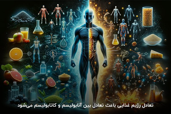 تعادل رژیم غذایی؛ مهمترین نتیجه حفظ تعادل فرآیندهای کاتابولیسم و آنابولیسم