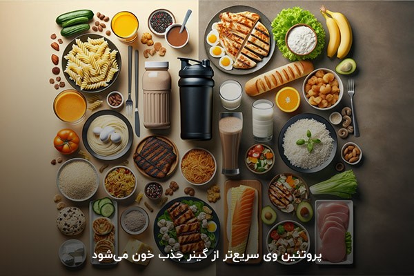 پروتئین وی؛ یک مکمل ورزشی با سرعت جذب بالا