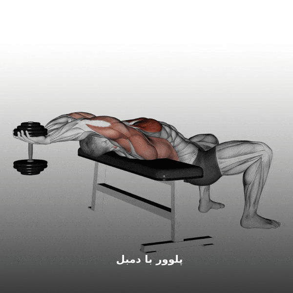 پلور با دمبل