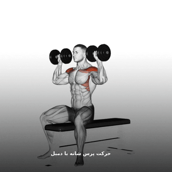 پرس شانه با دمبل gif