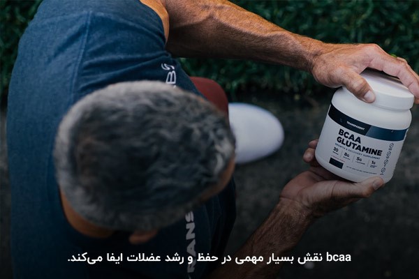 نقش بسیار مهمی در حفظ و رشد عضلات ایفا میکنند.baa