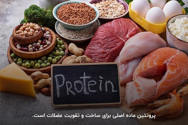برنامه غذایی و برنامه بدنسازی برای اکتومورف