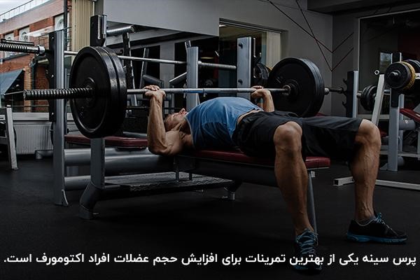 بهترین سیستم تمرینی اکتومورف ها