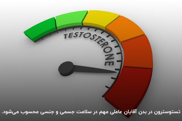 تستوسترون از هورمونهای مهم مردانه است.