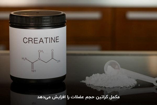 کراتین بهعنوان یک منبع سریع انرژی در عضلات عمل کرده و به بهبود عملکرد ورزشی در تمرینهای شدید کمک میکند.