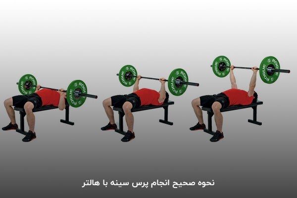 نحوه انجام پرس سینه هالتر به&zwnj;صورت مرحله&zwnj;به&zwnj;مرحله