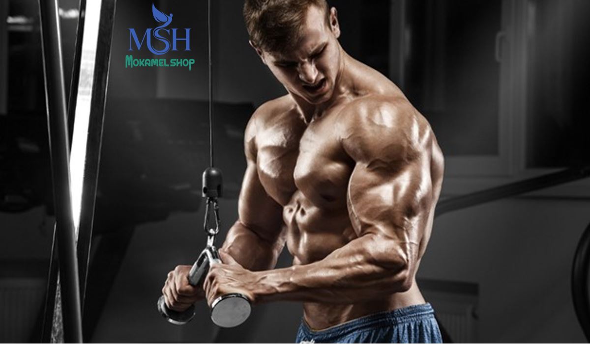 برنامه تمرینی سه روزه فول بادی، تکنیکی برای درگیر کردن تمام گروه های عضلانی.