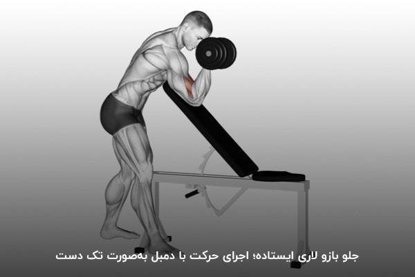 جلو بازو لادی در حالت ایستاده