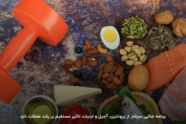  اولین فاکتور مهم برای عضله&zwnj;سازی
