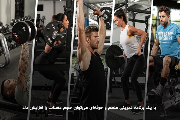 حجم در بدنسازی (بدنسازی حجم)