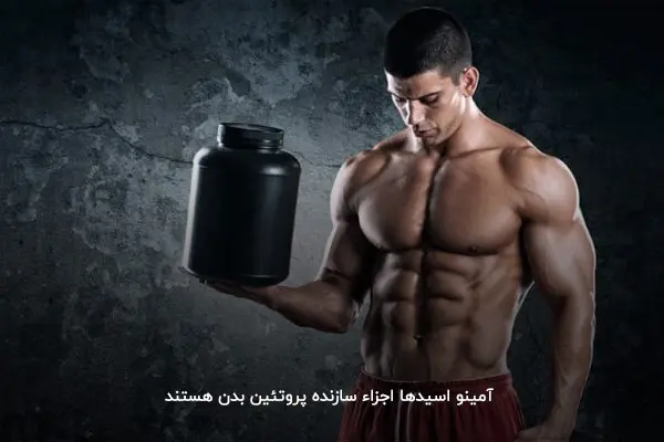 آمینو اسید؛ مکمل تشکیل&zwnj;دهنده پروتئین بدن&nbsp;