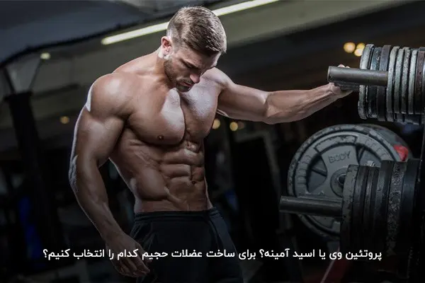 بررسی تفاوت مکمل وی و آمینو اسید