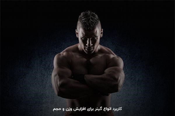 انواع گینر چیست و چه کاربردی دارد؟