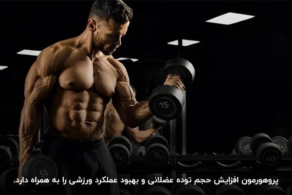 بهترین پروهورمون ها در بدنسازی